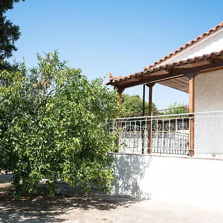 Greek Peloponnese Big Yard Αίγιο